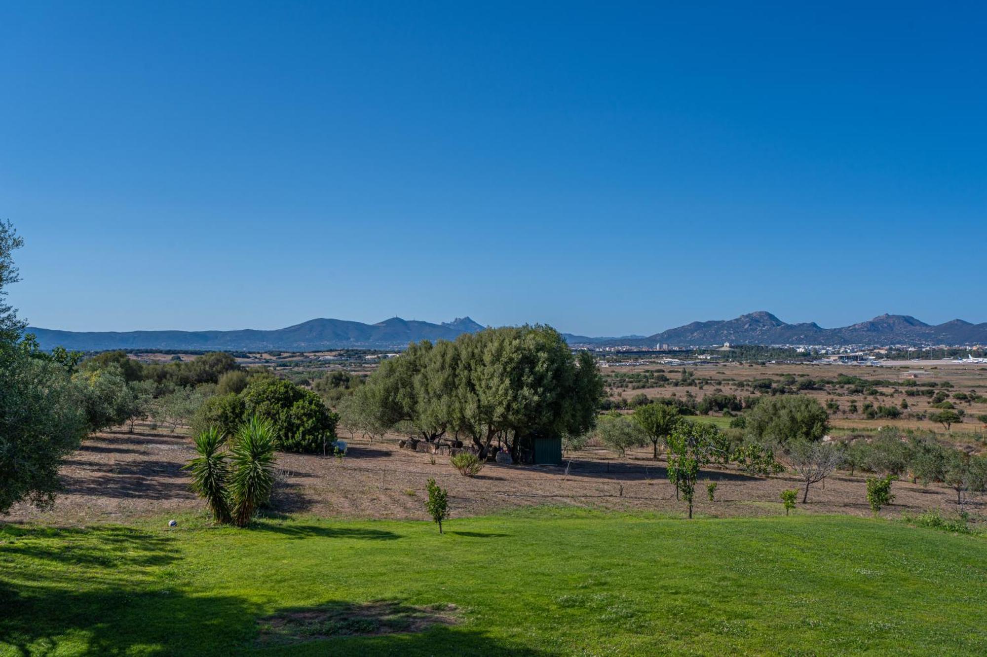 Villa Patrizia-Luxury House Olbia Exterior foto